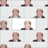 Klassieke trump 2021 stof (Delen)
