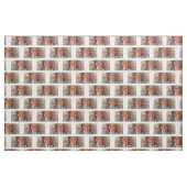 Klassieke trump 2021 stof (Fat Quarter)