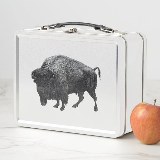 Klassieke valuta-buffels en Indiase Chief (In situ)