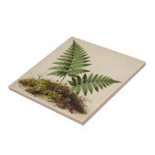 Klassieke Varens Botanisch Tegeltje (Zijkant)