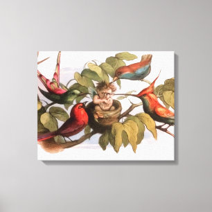 Klassieke Victoriaanse Sprookjeskunst Richard Doyl Canvas Afdruk