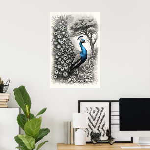 klassieke vintage pauw afbeelding artposter print