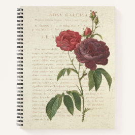 Klassieke Vintage Rosa Gallica Notitieboek