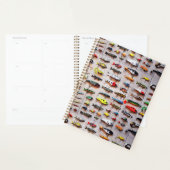 Klassieke Vist Lures Thunder_Cove Planner (Display)