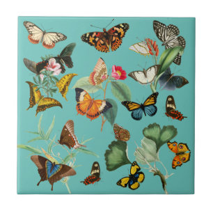 Klassieke vlinderkunst, veel soorten en kleuren tegeltje