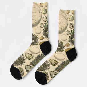 Klassieke Vogel Ei Nest Kunst Schilderij Eieren Sokken