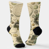 Klassieke Vogel Ei Nest Kunst Schilderij Eieren Sokken (Gebogen)