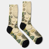 Klassieke Vogel Ei Nest Kunst Schilderij Eieren Sokken (Rechts)