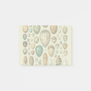 Klassieke vogeleieren Franse vis-ei kunst Post-it® Notes