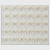 Klassieke Wereldkaart Cadeaupapier (Vlak)