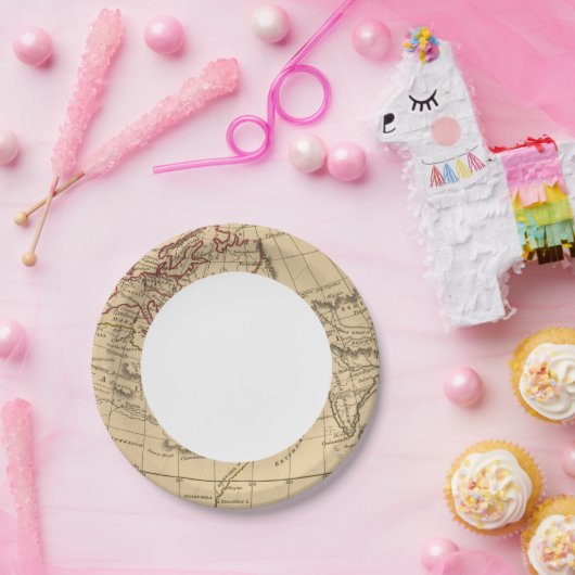 Klassieke Wereldkaart Papieren Bordje (Feest)