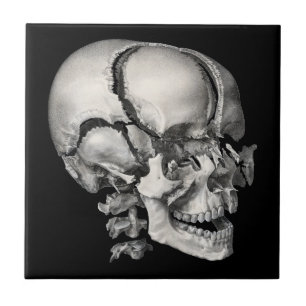 Klassieke wetenschap menselijke anatomie, antieke  tegeltje