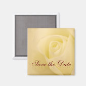 Klassieke witte bruidsroos save the date magneet (Voorkant / Achterkant)