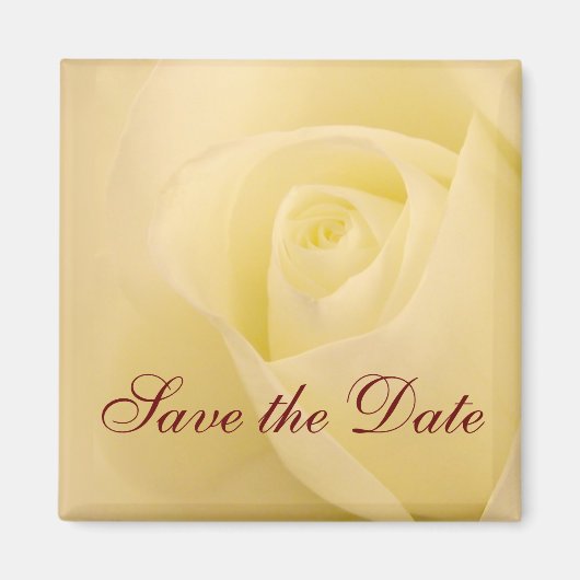 Klassieke witte bruidsroos save the date magneet (Voorkant)