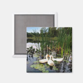 Klassieke witte eenden op een prachtig meer magneet (Voorkant / Achterkant)