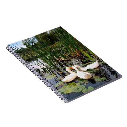 Klassieke witte eenden op een prachtig meer notitieboek (Rechterzijde)