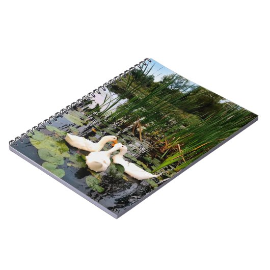 Klassieke witte eenden op een prachtig meer notitieboek (Linkerzijde)