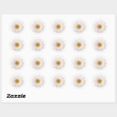 Klassieke witte Gerbera Daisy Flower Ronde Sticker (Vel)