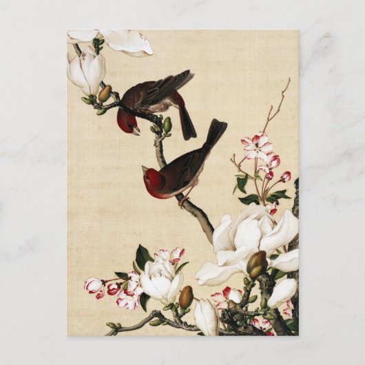 Klassieke witte magnolia- en vogelkunstdruk briefkaart (Voorkant)