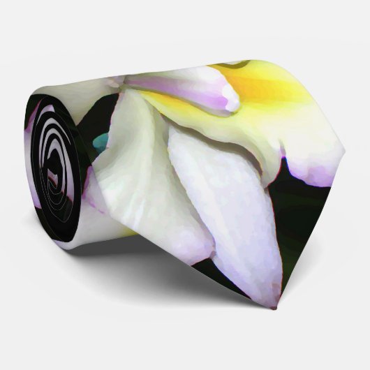 Klassieke witte orchidee bruiloft stropdas (Opgerold)