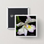 Klassieke witte orchidee vierkante button 5,1 cm (Voorkant /achterkant)