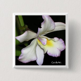 Klassieke witte orchidee vierkante button 5,1 cm
