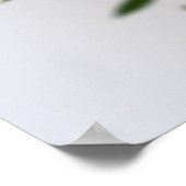 Klassieke witte rozen Close-up botanische foto Poster (Hoek)