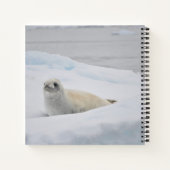 Klassieke Witte Zeehond Winter Sneeuw EMMERLIJST A Notitieboek (Achterkant)