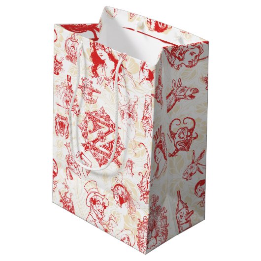 Klassieke wizard van Oz Gift Bag Medium Cadeauzakje (Achterkant Gekanteld)