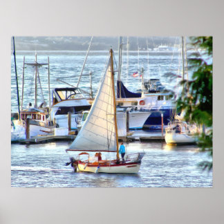 Klassieke zeilboot die de haven van Hadlock Marina Poster