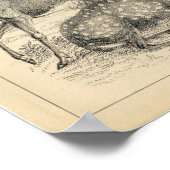 Klassieke zoologische Etching - Deer Poster (Hoek)