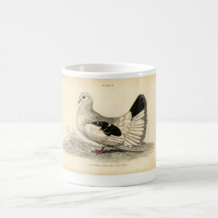 Klassieke zoölogische Etching - Dove Koffiemok