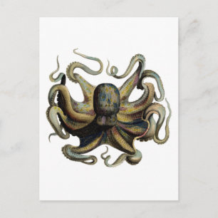 Klassieke zoölogische Etching - Grumpy Octopus Briefkaart