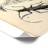 Klassieke zoölogische Etching - Insecten Poster (Hoek)
