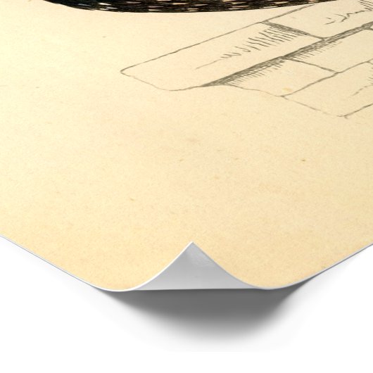 Klassieke zoölogische Etching - Starling Poster (Hoek)