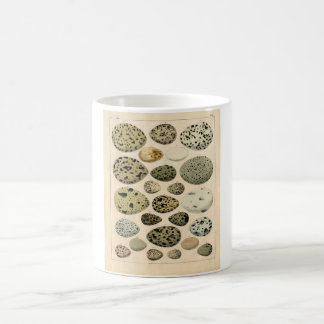 Klassieke zoölogische Etching - vogeleieren Koffiemok