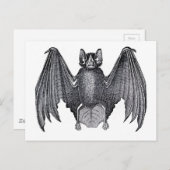 Klassieke zoölogische etsing - vlek briefkaart (Voorkant / Achterkant)