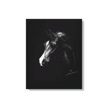 Klassieke zwarte Arabische paardenkunst (kleinere 