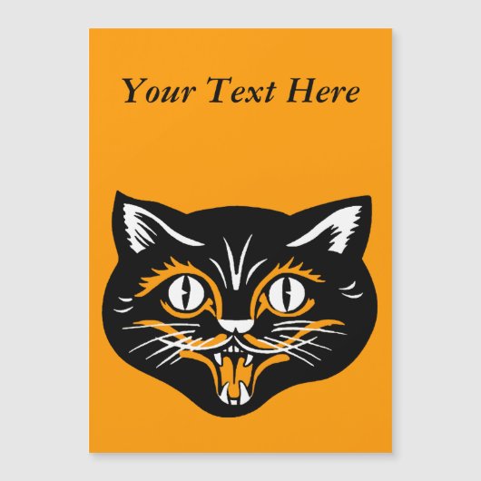 Klassieke zwarte kat-vlakken (Voorkant)