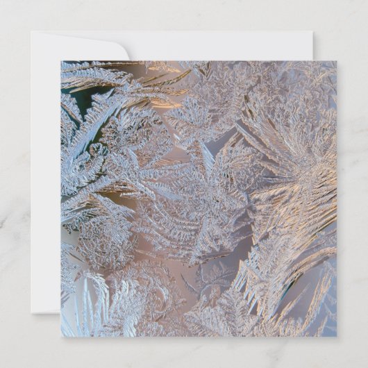 Klassy heeft de datum opgeslagen save the date (Achterkant)