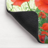 Klatschmohn Muismat (Hoek)