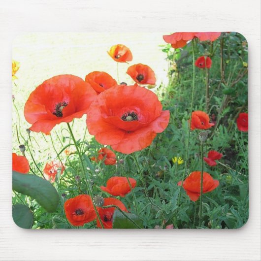 Klatschmohn Muismat (Voorkant)