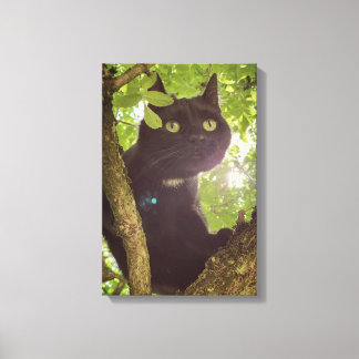 Klauwen van de Wilde Canvas Afdruk