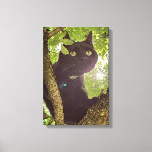 Klauwen van de Wilde Canvas Afdruk (Voorkant)
