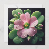 Klaver Bloemen Roze en Groene Oxalis Kaart (Voorkant)