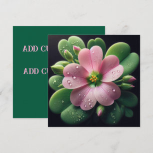 Klaver Bloemen Roze en Groene Oxalis Kaart