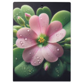 Klaver Bloemen Roze en Groene Oxalis Klembord (Achterkant)