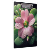 Klaver Bloemen Roze en Groene Oxalis Klembord (Rechts)