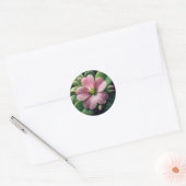 Klaver Bloemen Roze en Groene Oxalis Ronde Sticker (Envelop)