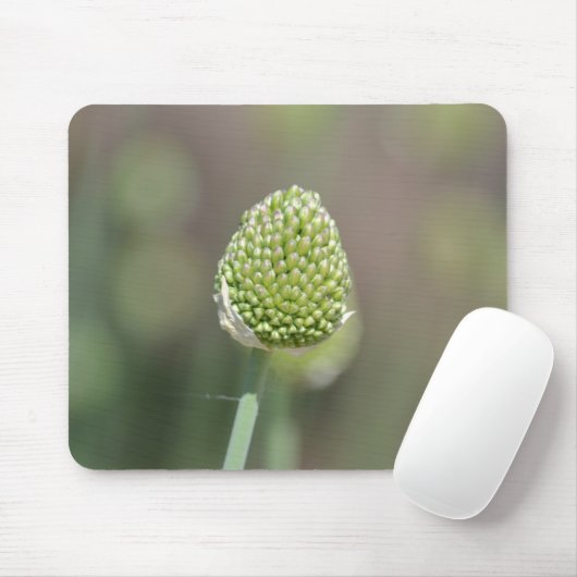 klaver muismat (Met muis)